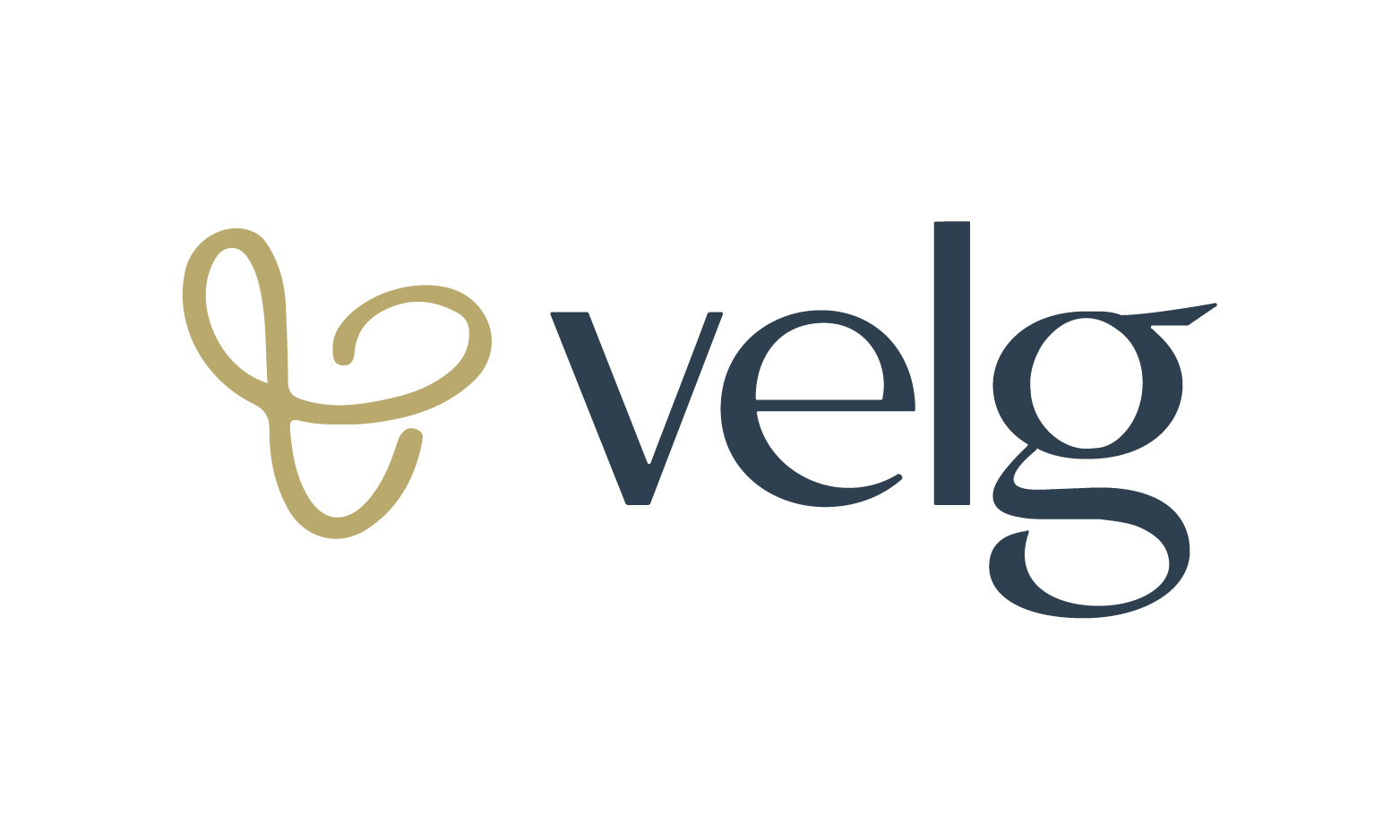 Available Business Name For Sale - Velg.com